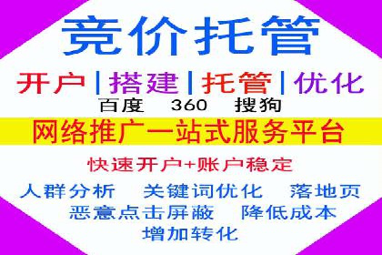 某电商平台的SEM广告投放全流程解析